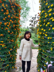 望麗影副教授簡介